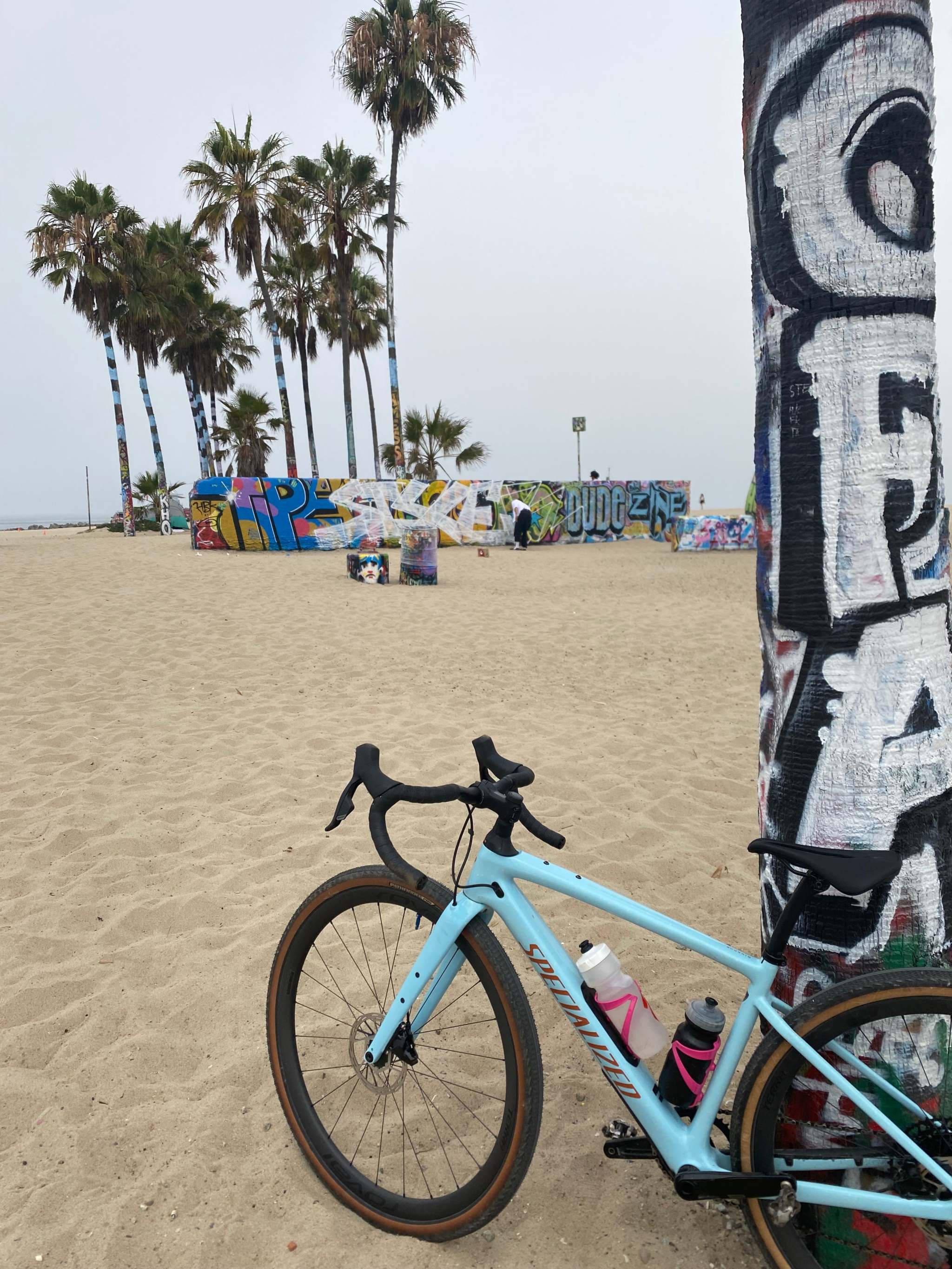 Blue Specialized flow mountain bike parked on sandy beach near graffiti-covered pole and palm trees at Venice Beach, California