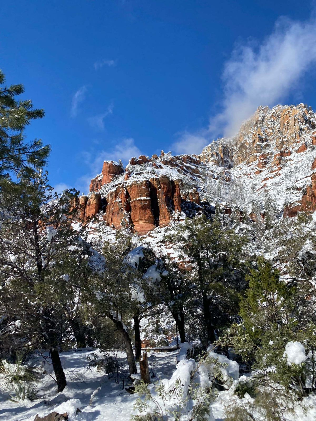 Snow-covered red mountains and pine trees under a clear blue sky at the Sedona Mountain Bike Festival