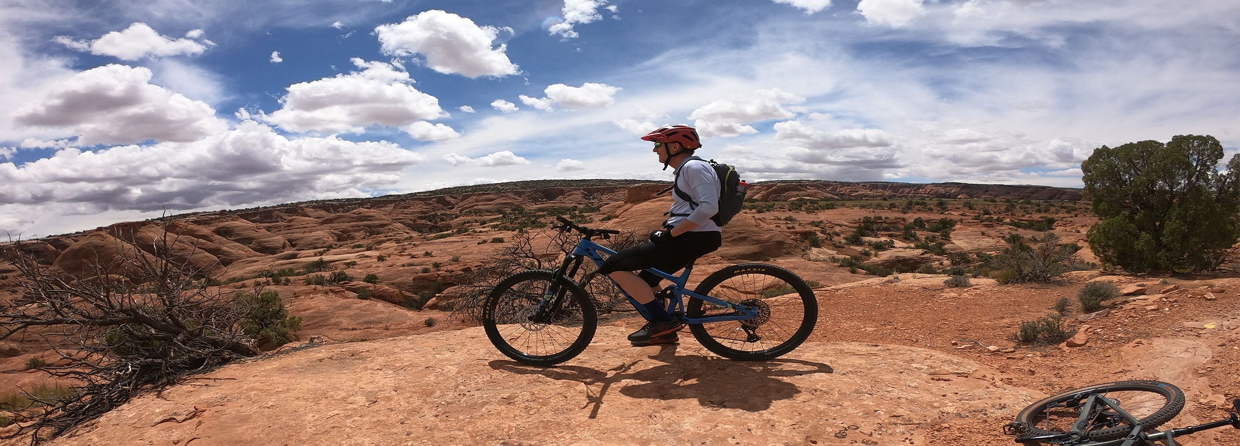 The G-Form Collection 