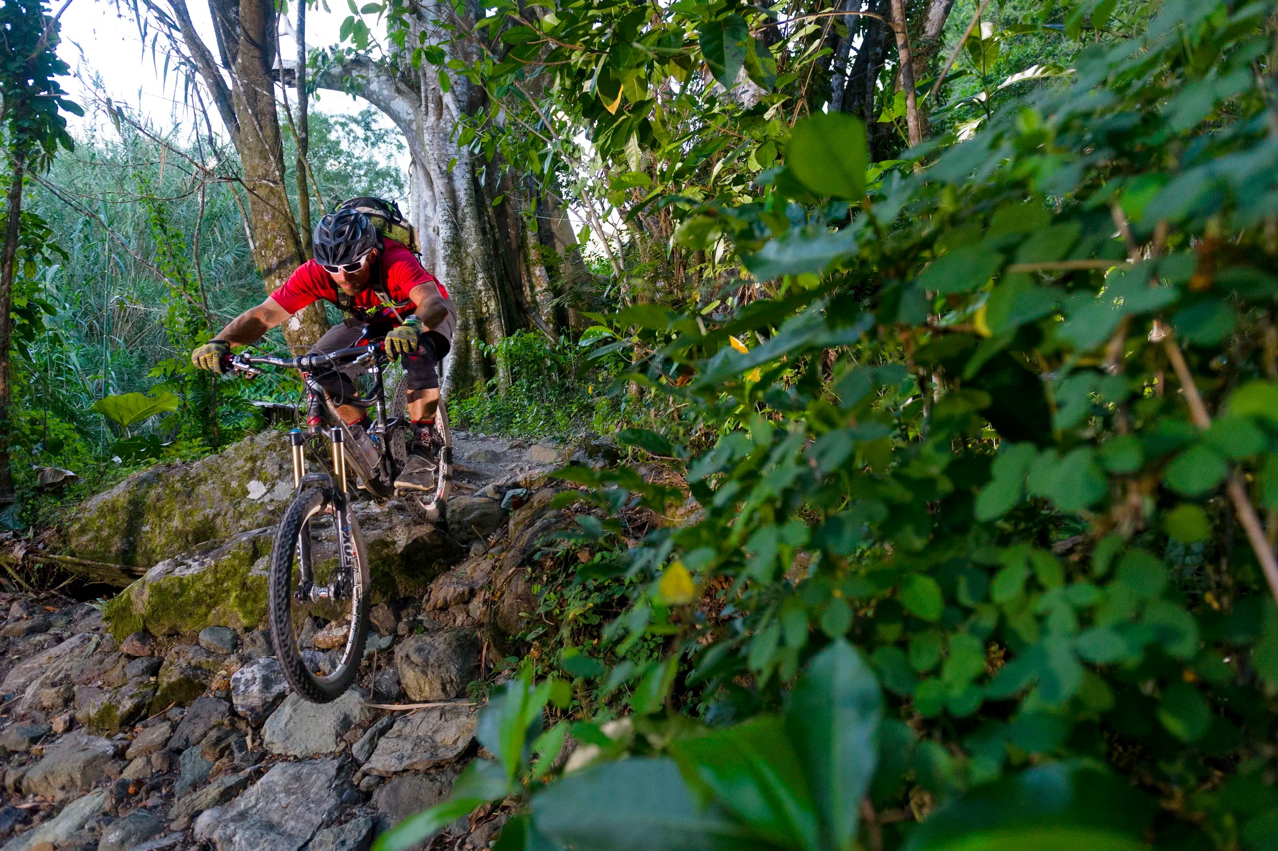 Moxie Cycling Company 